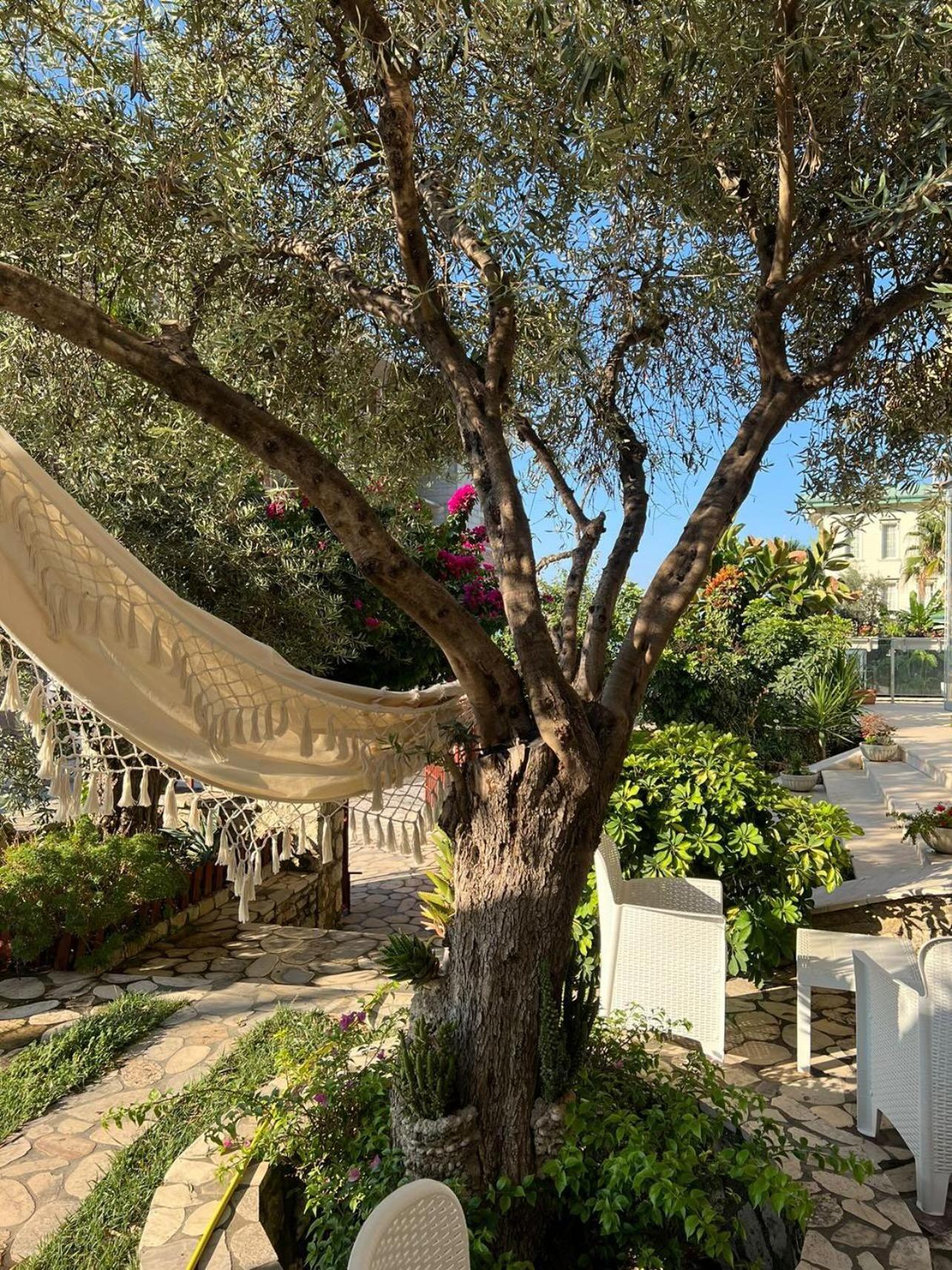 Hotel Orange Dhërmi 외부 사진